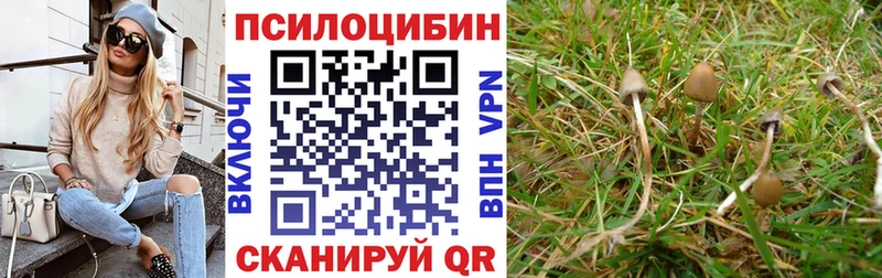 Галлюциногенные грибы мухоморы  Купить где  Трёхгорный 